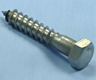 Hex Lag Screw s-s